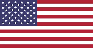 american flag-Ann Arbor